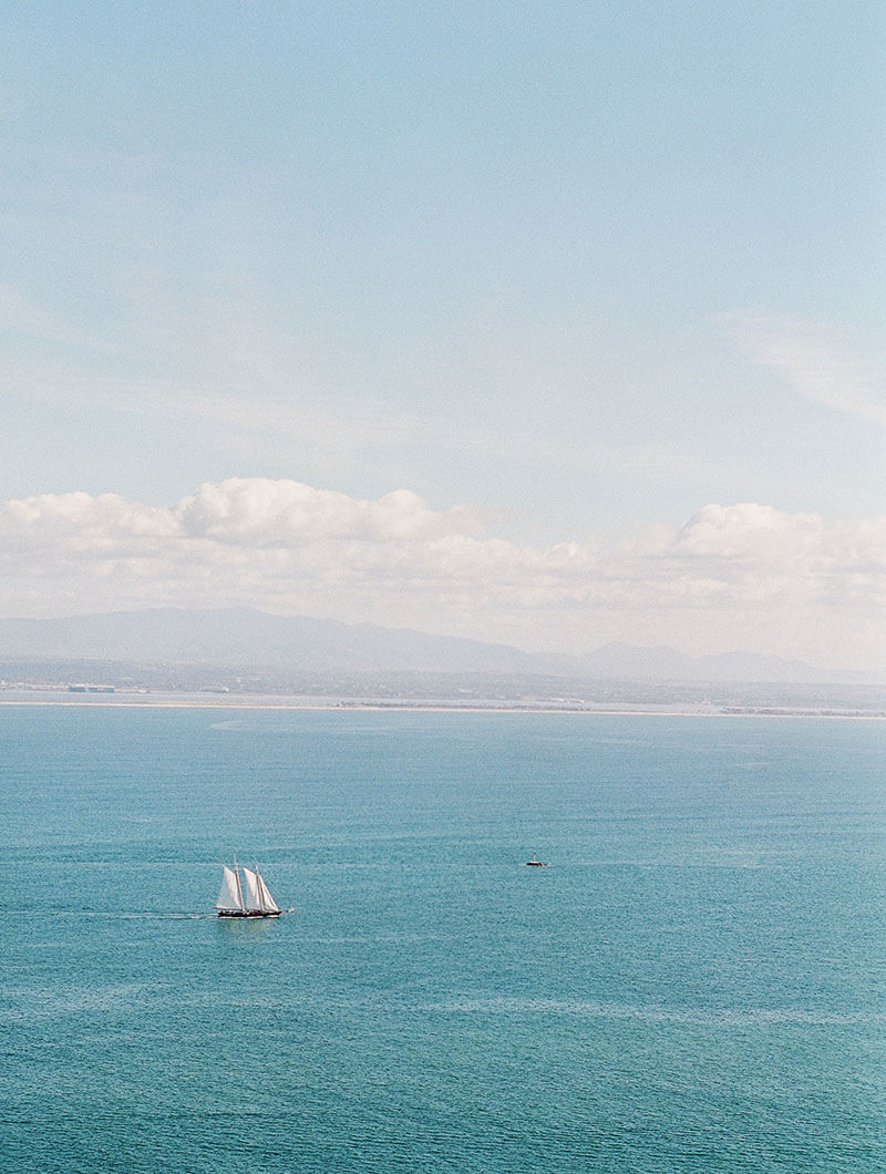 MARGO IN VISUAL MARGO IN VISUAL