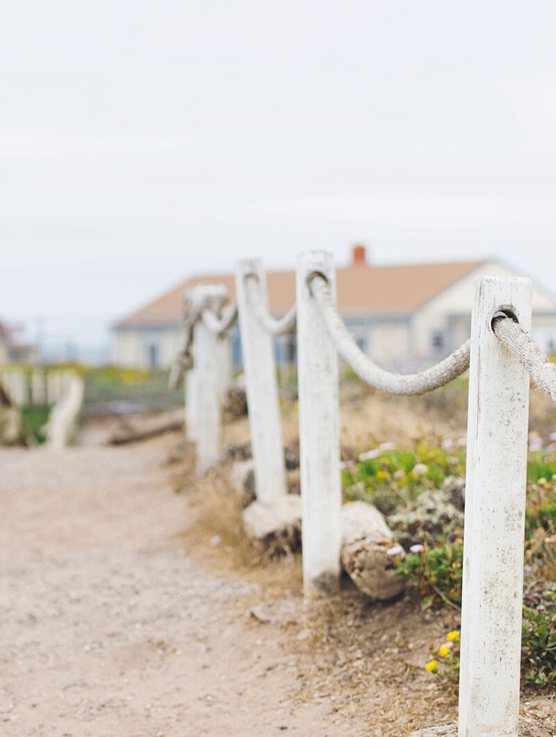 MARGO IN VISUAL MARGO IN VISUAL